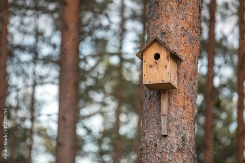 birdhouse in the pine forest