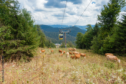 Panorama Blick vom Belchen im Schwarzwald