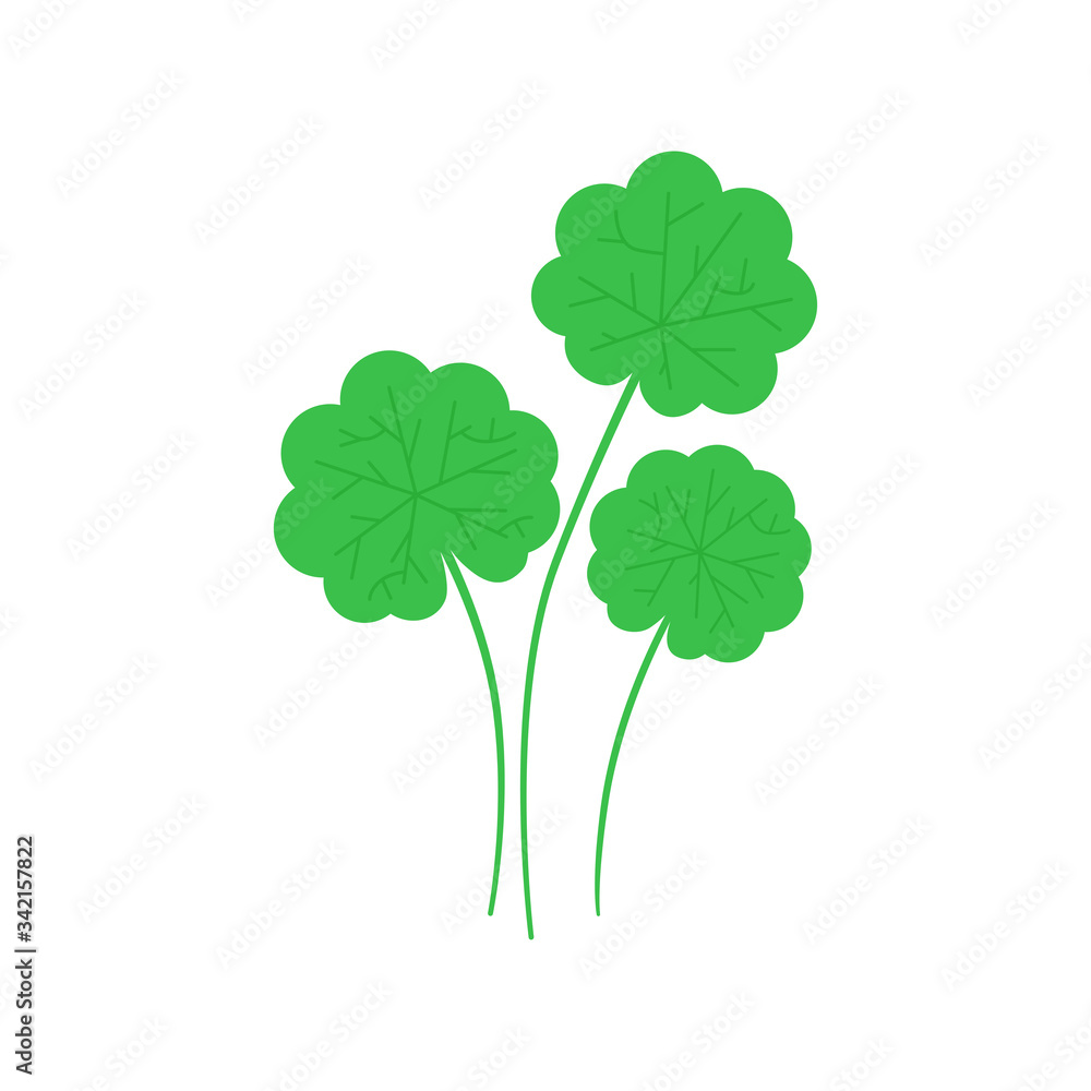 Gotu Kola plant leaf in flat style. Asiatic pennywort isolated on white background. Superfood Gotu Kola medical herb. Vector illustration. Gotu Kola plant leaf in flat style. Asiatic pennywort isolated on white background. Superfood Gotu Kola medical herb. Vector illustration.