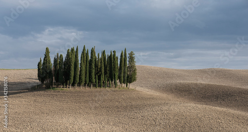 Cypress hill with surrounding fields in San Quirco d'Orcia, clouds in the sky, Tuscany Italy.