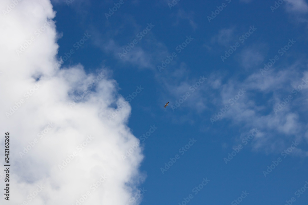 Beautiful blue sky with white clouds. Spring weather Beautiful blue sky with white clouds. Spring weather