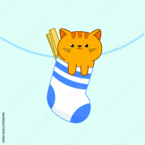 Kawaii cat in sock hanging on a clothesline. Flat lay, top view.