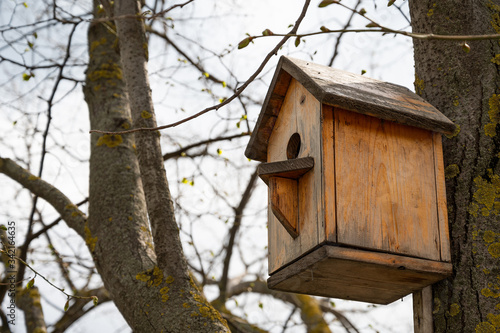 simple wooden birdhouse nailed to a tree in a park. bird care. place for wintering and nests of city birds