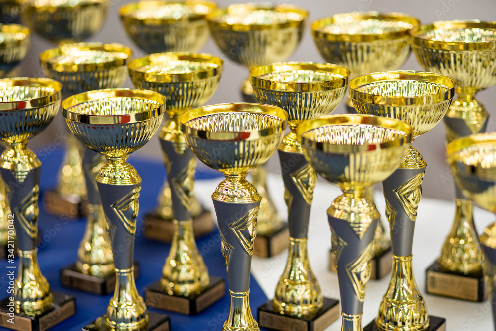 award cups for the exhibition award cups for the exhibition