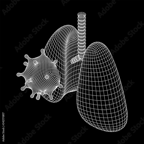 Corona Virus and Lungs with trachea bronchi internal organ human. Covid virus pulmonology medicine science concept. Wireframe low poly mesh vector illustration.