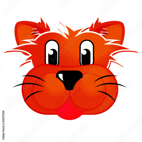 Gato