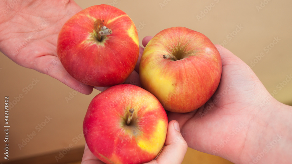 Hands are holding red apples. World Family Day. Apple day. Friendship concept. Three red apples. Hands are holding red apples. World Family Day. Apple day. Friendship concept. Three red apples.