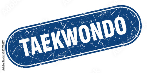 taekwondo sign. taekwondo grunge blue stamp. Label