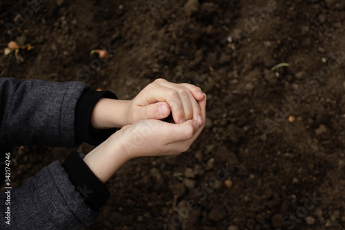 The child's hands hold and pour back the organic soil. The child checks the quality of the soil in his garden. The child's hands touch the soil on the field. © Ekaterina