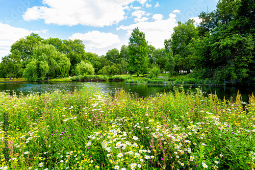 Fototapeta Naklejka Na Ścianę i Meble -  London Saint James Park green foliage and trees in sunny summer with many flowers by pond river water landscape
