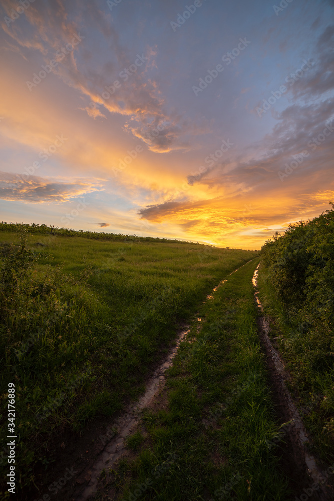 Muddy dirt road heading to the distance next to vine fields in a summer sunset with clouds in nature after rain storm in Hungary