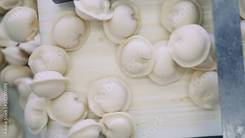 Top view of dumplings moving along the conveyor and falling from it photo