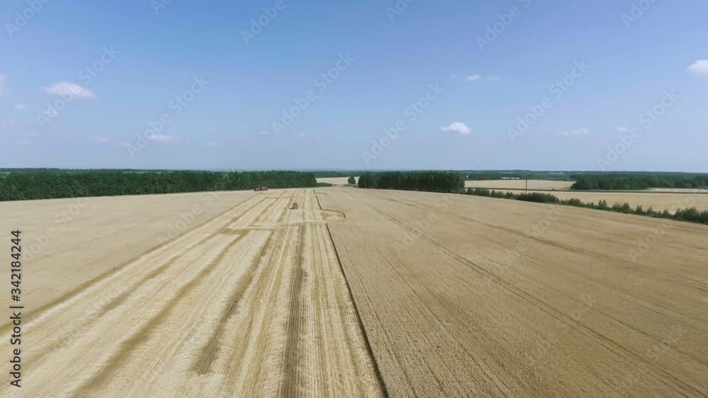 Aerial view Combine Harvesters gathers the wheat Aerial view Combine Harvesters gathers the wheat