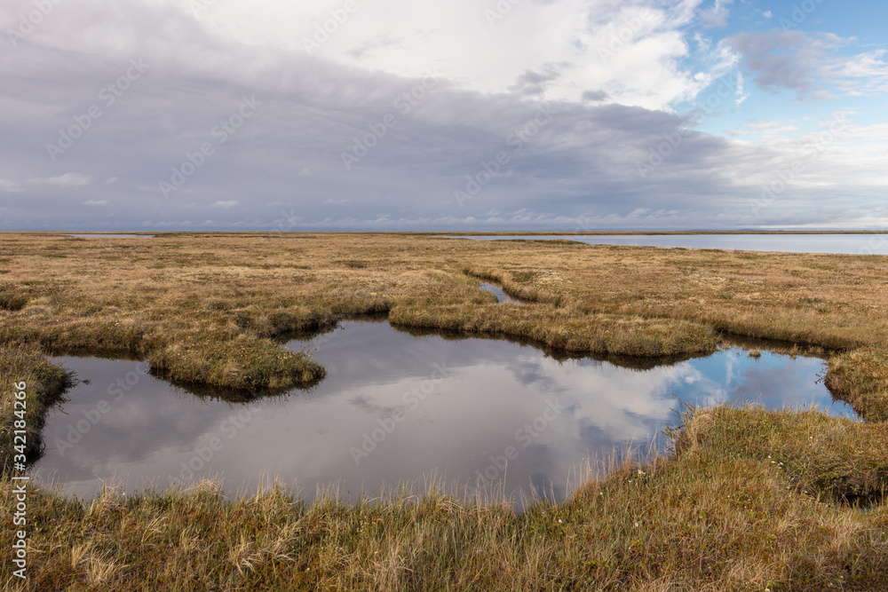 Landscape of summer tundra, lakes, marshes, grass, cloudy day, blue sky