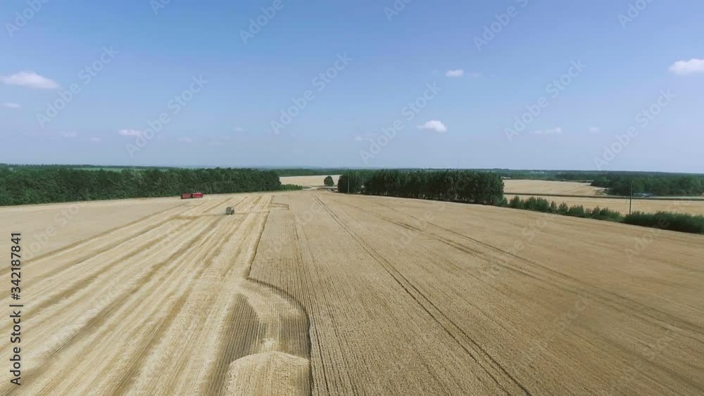Aerial view Combine Harvesters gathers the wheat Aerial view Combine Harvesters gathers the wheat
