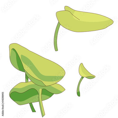 Green leaf sticker set on white isolated backdrop. Waterlily for invitation or gift card, scrapbook, notebook sticker, bath tile. Phone case or cloth print art. Drawn style stock vector illustration