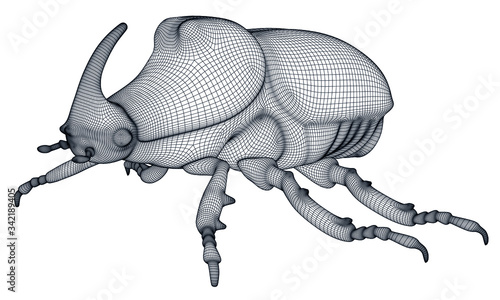 Vector illustration of a geometric polygonal rhinoceros beetle. Abstract linear insect.