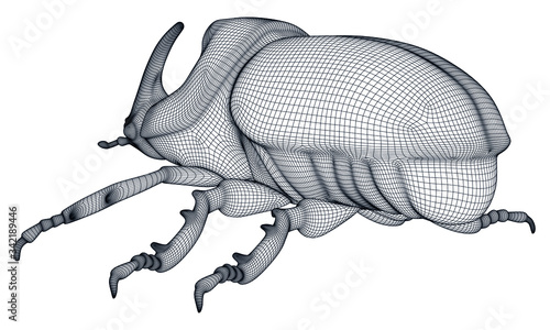 Vector illustration of a geometric polygonal rhinoceros beetle. Abstract linear insect.