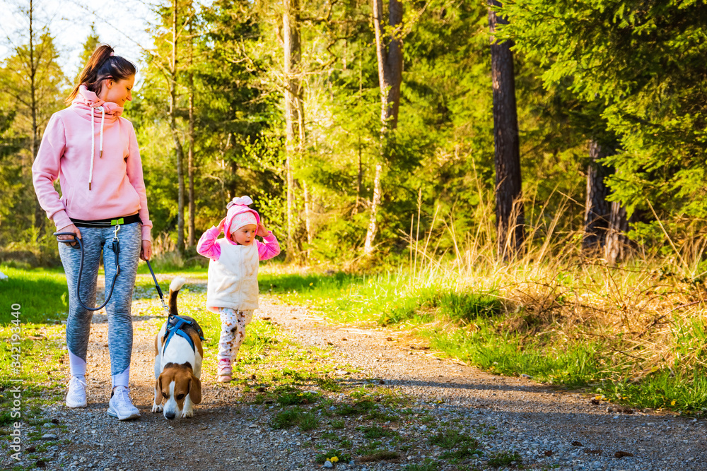 Obraz premium Young mother with child and dog walking together on country path in forest. Cheerful 2 years old outdoor.