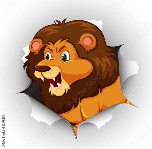 Wild lion coming out of cracked wall