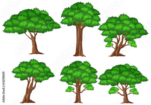 Big green trees on white background