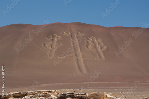 Peruvian Geoglyph in Peru near Paracas (ID: 342199270)