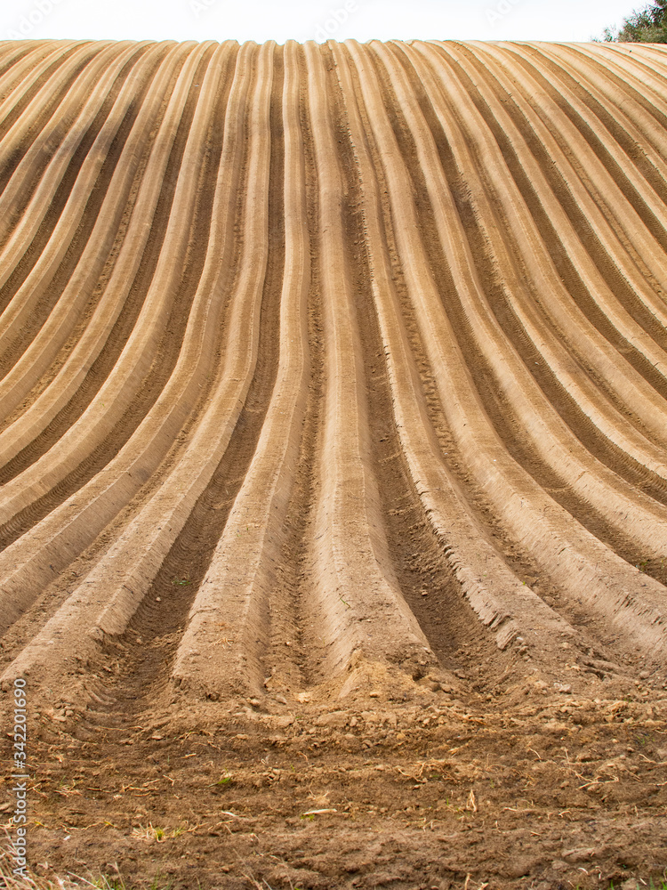 Plowed field view of the mountainous area in the countryside Plowed field view of the mountainous area in the countryside