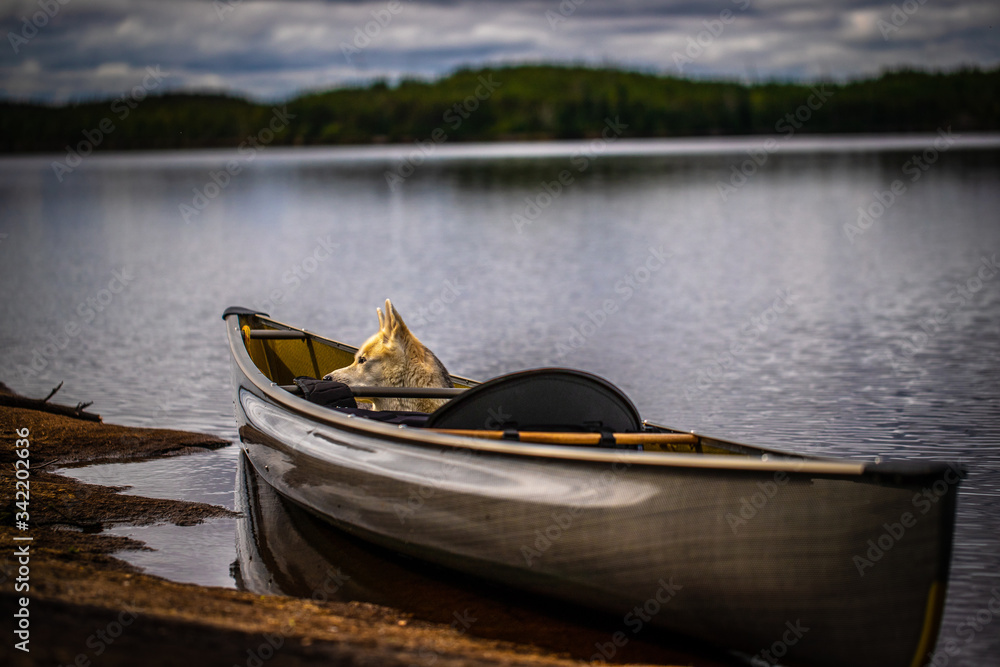 Canoe along the shore of a lake