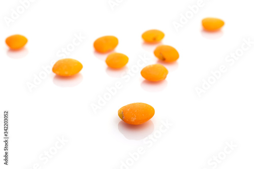 Orange lentils seeds row isolated on white. Pile pea nutrition background. Healthy lentil food, vegetarian diet or clean eating concept with antioxidant, omega-3, protein.