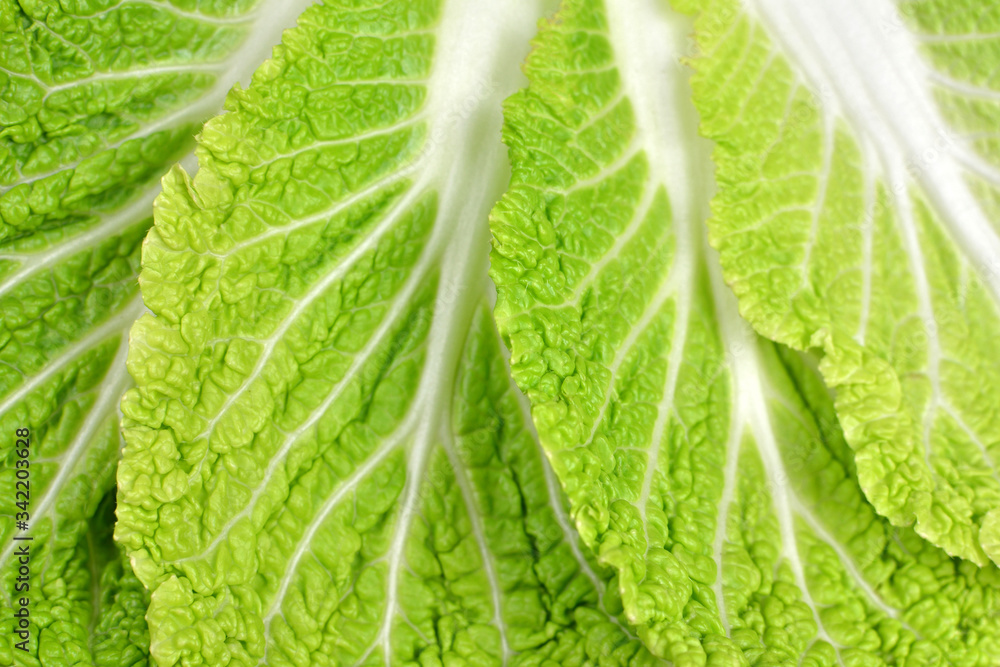 Chinese cabbage leaves texture. Vegan food. Chinese cabbage leaves texture. Vegan food.