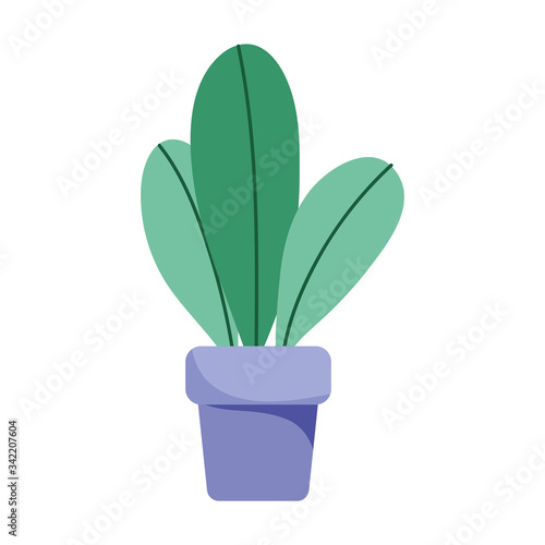 potted plant decoration interior isolated icon white background