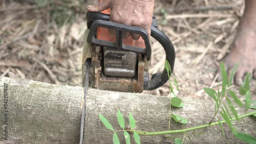Cutting through wood with chainsaw .Man using machine saw while cutting tree. Cutting through wood with chainsaw .Man using machine saw while cutting tree.