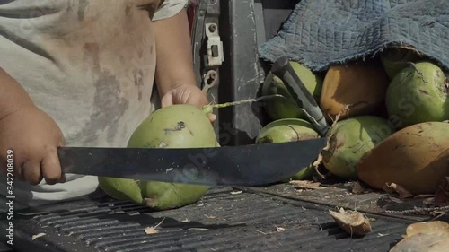 Hawaii Peeling Coconut in Maui photo