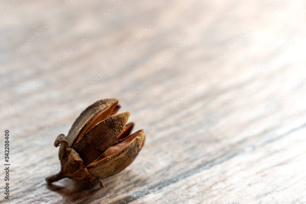 Obraz premium Dry seeds on wood table.Top view of dry seeds.Wood table background.