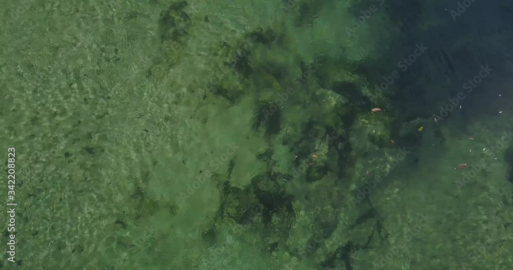 A closeup of clear green water flowing downstream A closeup of clear green water flowing downstream