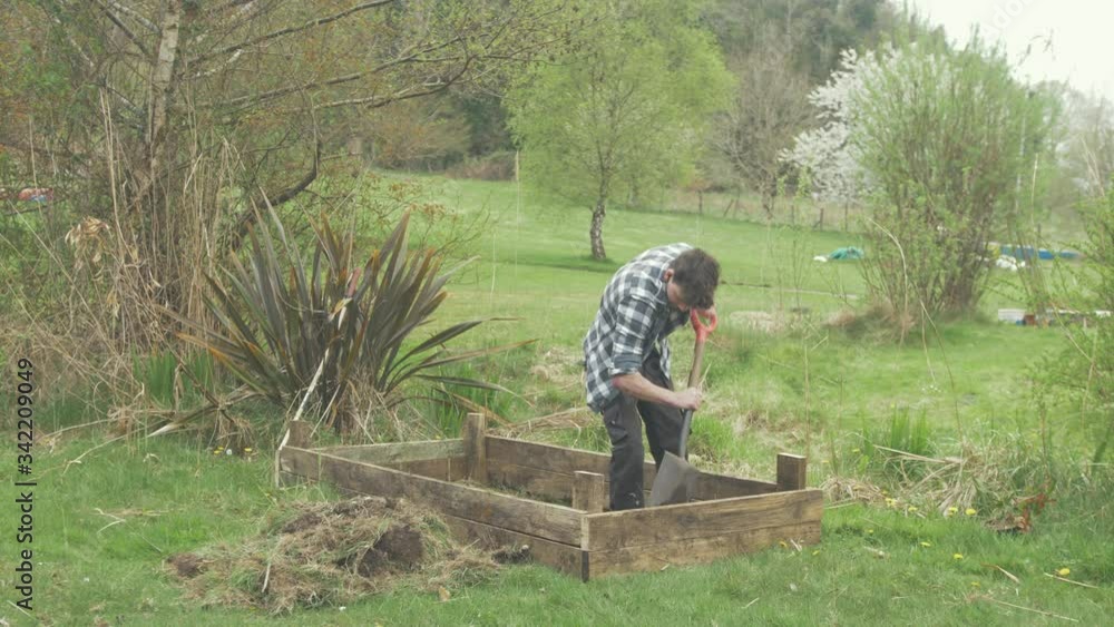 WIDE SHOT of young man removing top soil with shovel building raised garden bed WIDE SHOT of young man removing top soil with shovel building raised garden bed