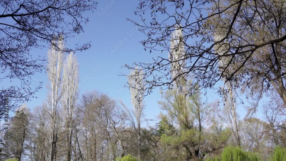 Paradise park with leafless trees and green willows on side of calm clear water of river with anchored colorful boats on bank Paradise park with leafless trees and green willows on side of calm clear water of river with anchored colorful boats on bank