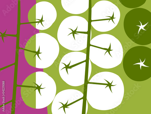Abstract vegetable design in flat cut out style. cherry tomatoes on green. Vector illustration.