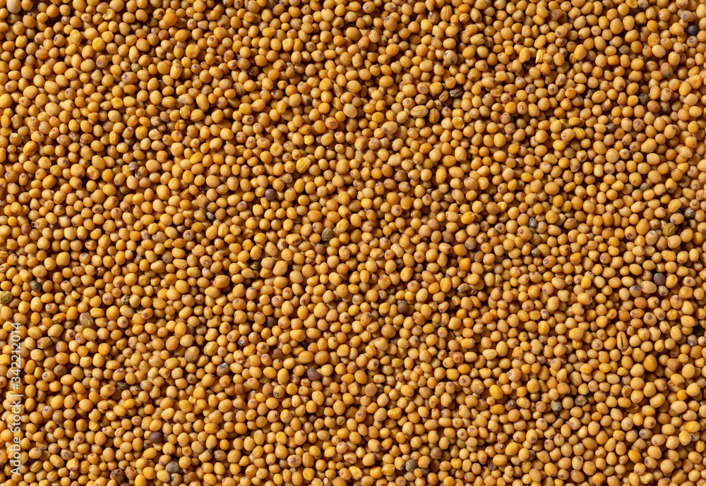 Mustard seeds as a background. Or texture Mustard seeds as a background. Or texture