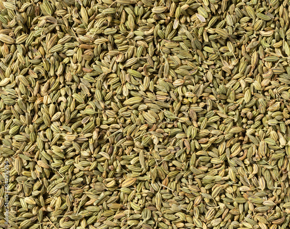 Fennel seeds as a background. Or texture Fennel seeds as a background. Or texture