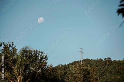 day moon over the forest 