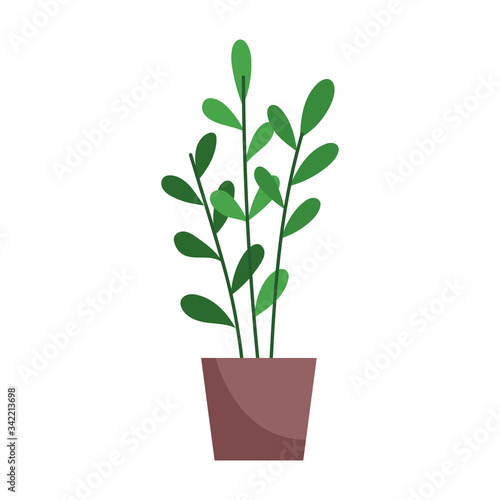 potted plant decoration interior isolated icon white background