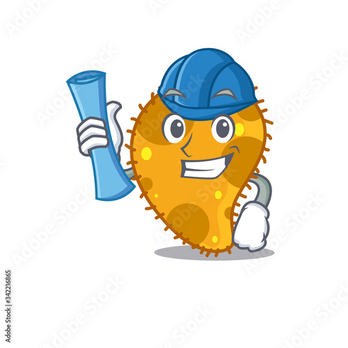 Cartoon character of pseudomonas brainy Architect with blue prints and blue helmet