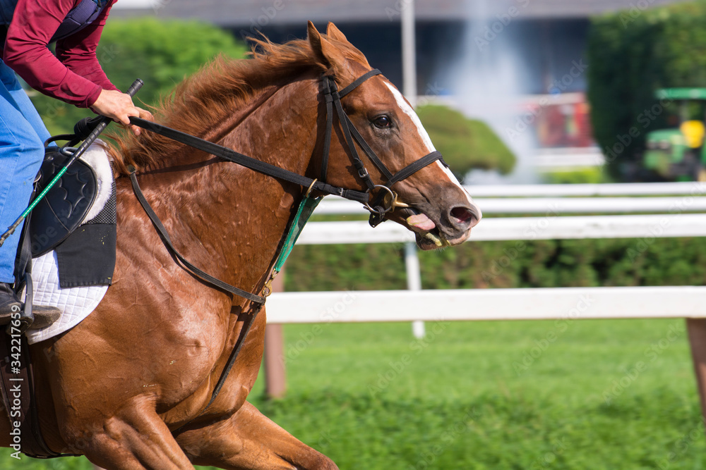 Exercise at Horse Racing Track Upstate New York Adirondacks Saratoga Race Course