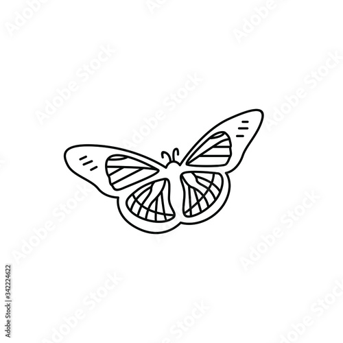 Butterfly line icon. Isolated on white background