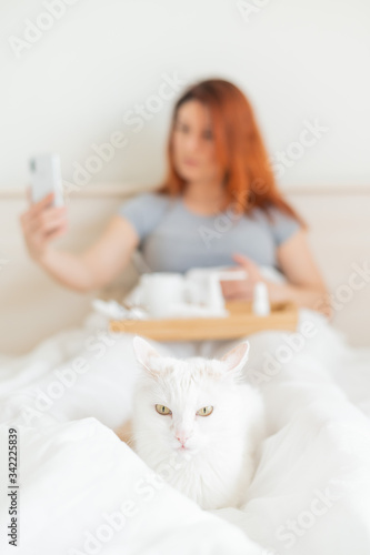 A woman is sitting in bed with a mobile phone in her hands. A white cat lies at the feet of the mistress with a cold. A girl with seasonal flu makes a video call.