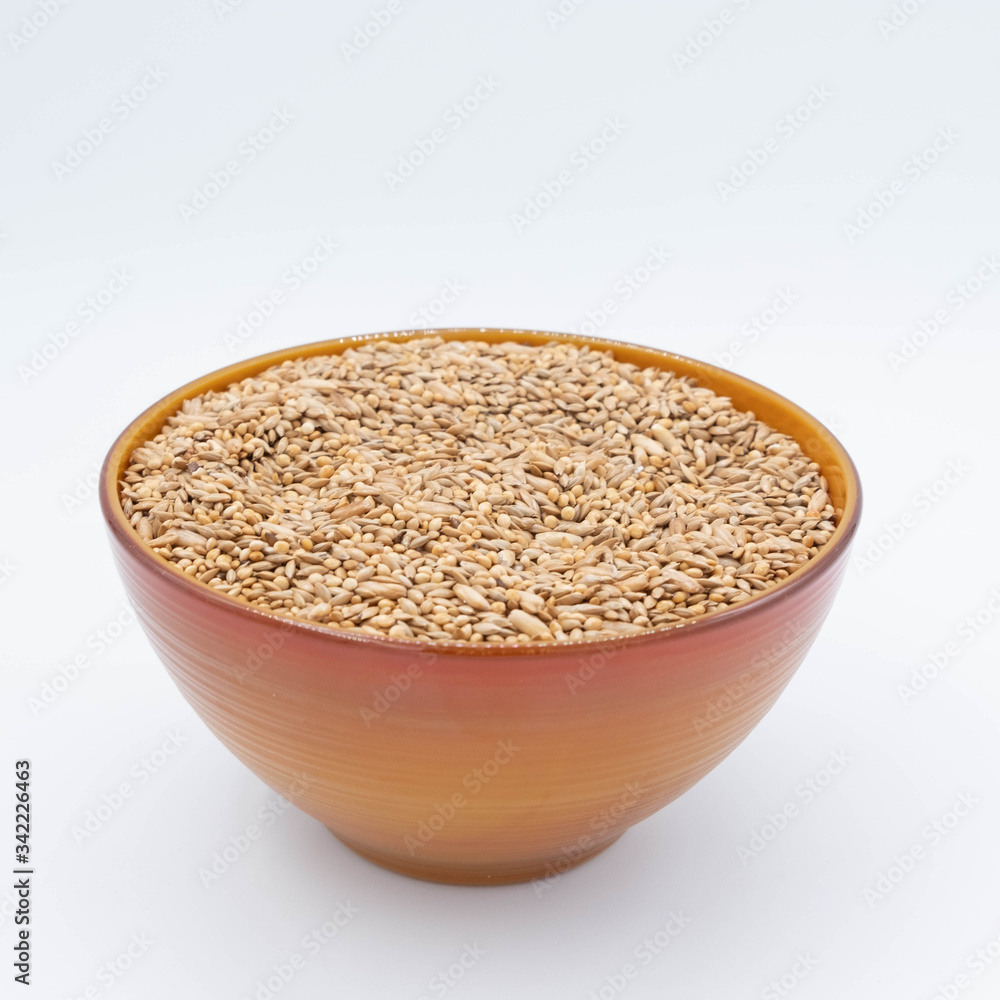 Budgies Bird food in red bowl Budgies Bird food in red bowl