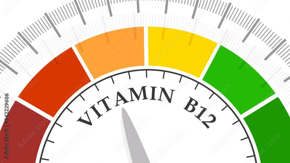 Gradient scale. Vitamin b 12 level measuring device. Sign tachometer, speedometer, indicators. Infographic gauge element. Gradient scale. Vitamin b 12 level measuring device. Sign tachometer, speedometer, indicators. Infographic gauge element.