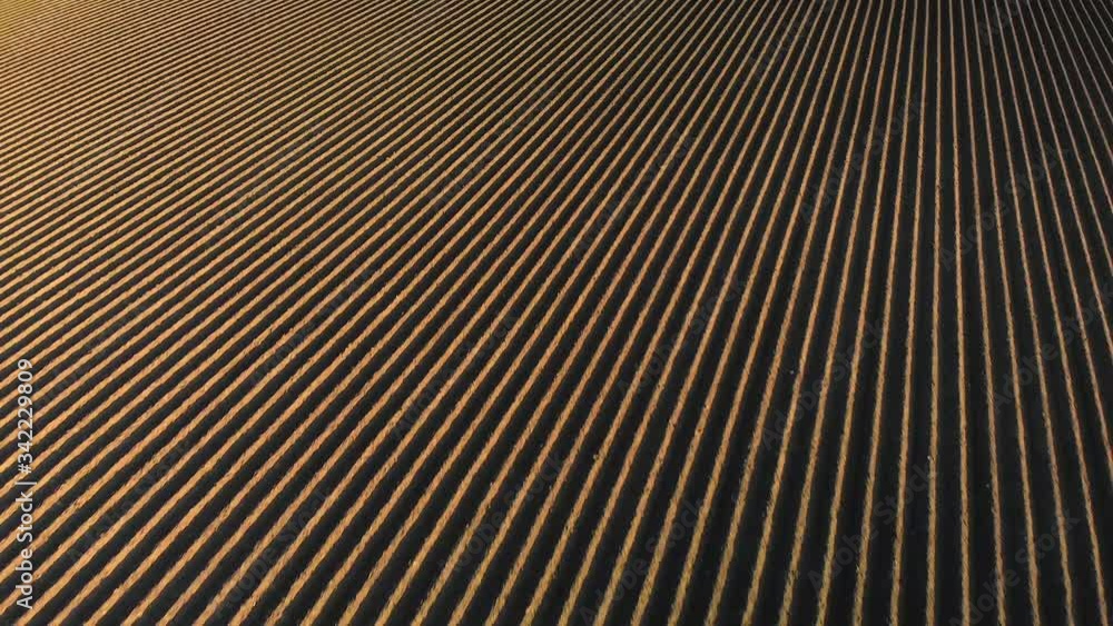 Aerial of Unplanted Crop Rows Aerial of Unplanted Crop Rows