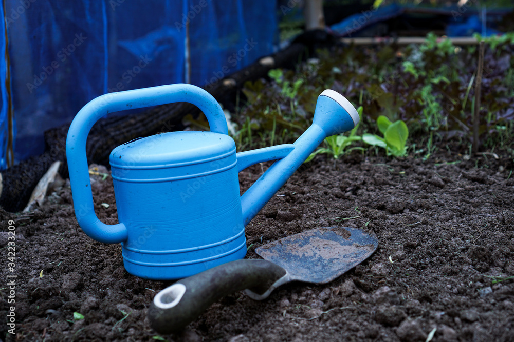 Blue watering pot and small spade and plant